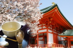 viaje japon primavera cerezo kioto