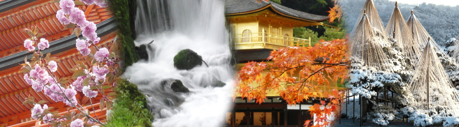 viaje a japón tour a la medida kyoto tokyo takayama kanazawa nagano osaka kumano hakone onsen mono ryokan templo