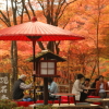 viaje japón kyoto kitoto zen templo koyasan