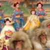 viaje japón premavera semana santa grupo snow monkey