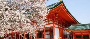 viaje japón ruta zen kioto naturaleza luna de miel