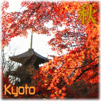 viaje a japón plan a su aire tour grupo tematicos actividads primavera otoño verano invierno