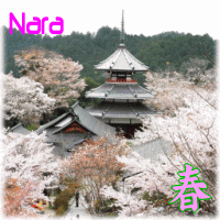 viaje a japón plan a su aire tour grupo tematicos actividads primavera otoño verano invierno