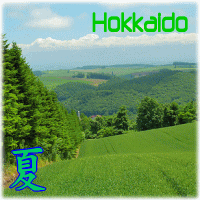 viaje a japón plan a su aire tour grupo tematicos actividads primavera otoño verano invierno